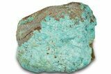 Polished Turquoise Specimen - Number Mine, Carlin, NV #260511-2